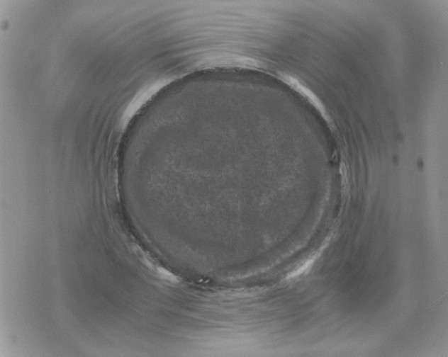 X0000071860877200607211914