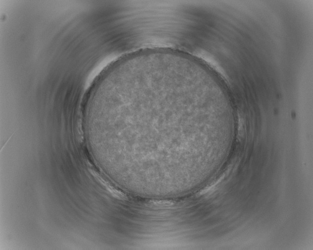 X0000071860878200607211914