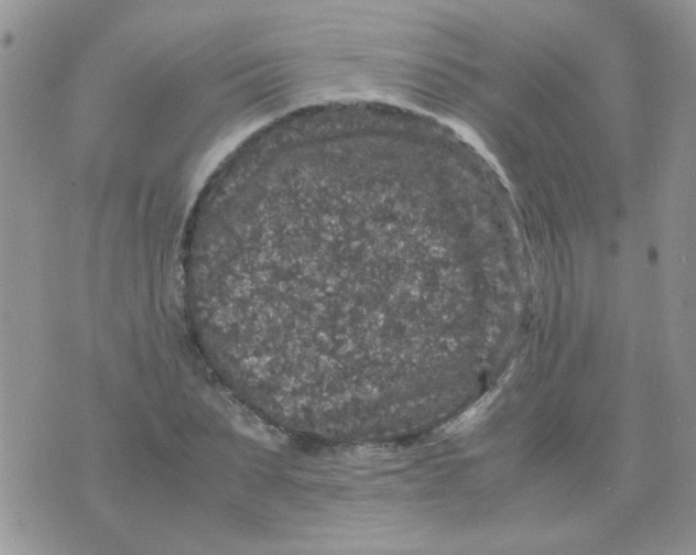 X0000071860879200607211914