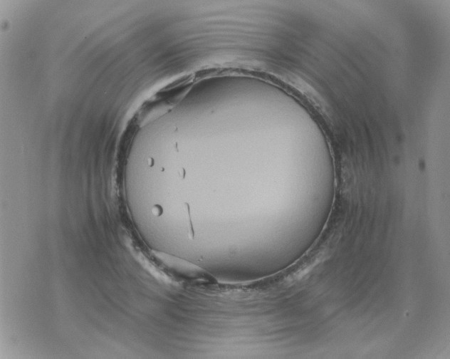 X0000071860880200607211914