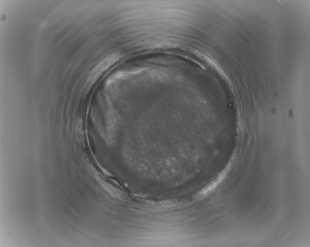 X0000071860881200607211914