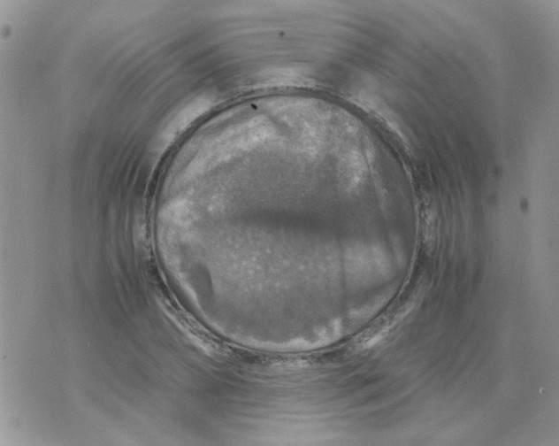 X0000071860882200607211914