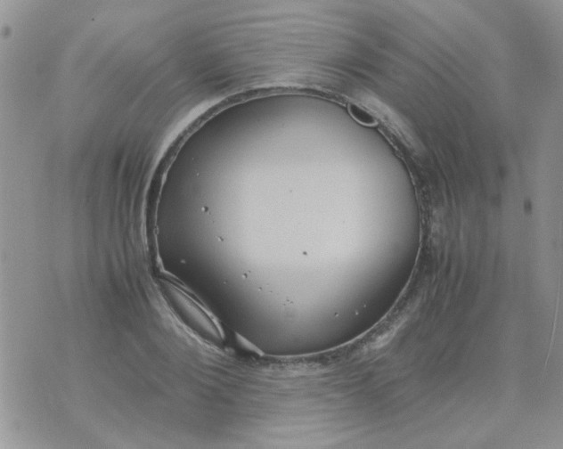 X0000071860884200607211914