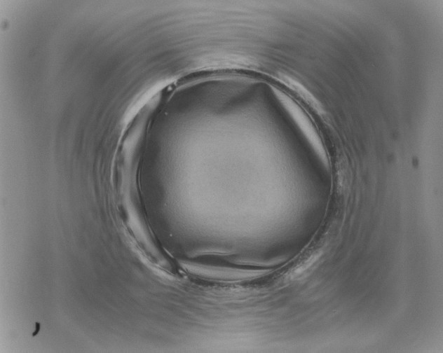 X0000071860885200607211914