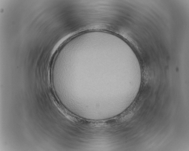 X0000071860886200607211914