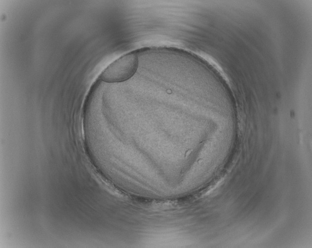 X0000071860887200607211914