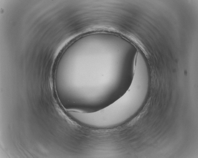 X0000071860888200607211914