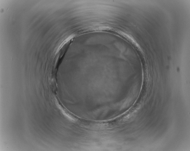 X0000071860889200607211914