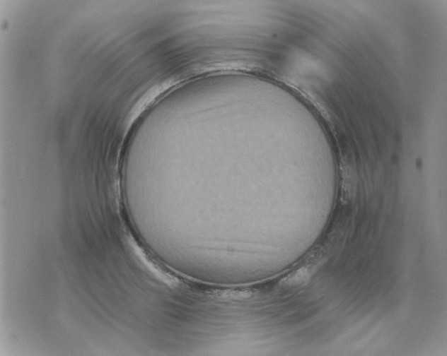 X0000071860890200607211914