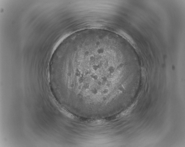 X0000071860891200607211914