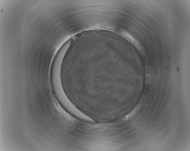 X0000071860892200607211914