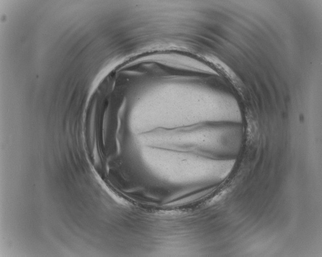 X0000071860894200607211914