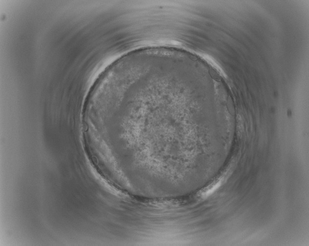 X0000071860895200607211914