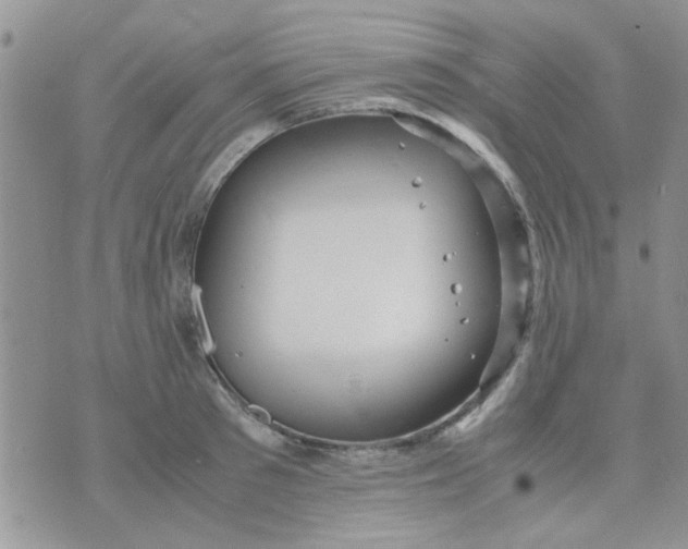 X0000071860897200607211914