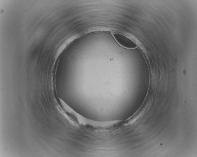 X0000071860898200607211914