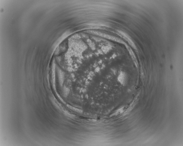 X0000071860899200607211914