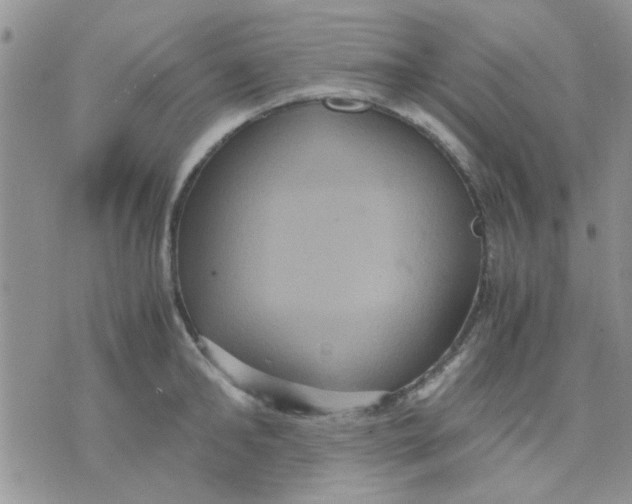 X0000071860902200607211914