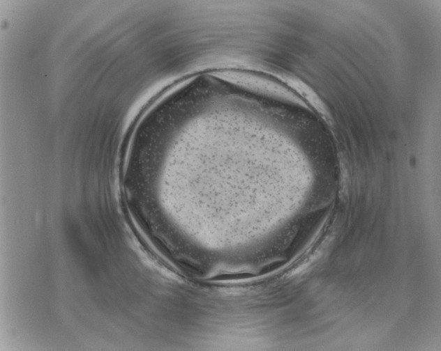 X0000071860904200607211914