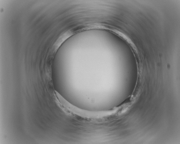 X0000071860905200607211914