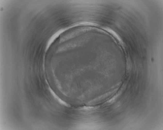 X0000071860910200607211914