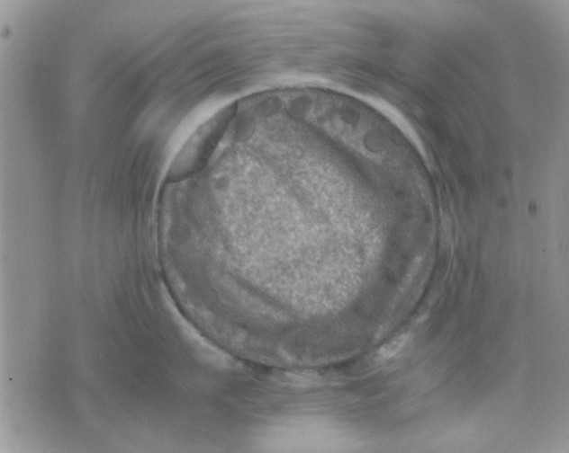 X0000071860911200607211914