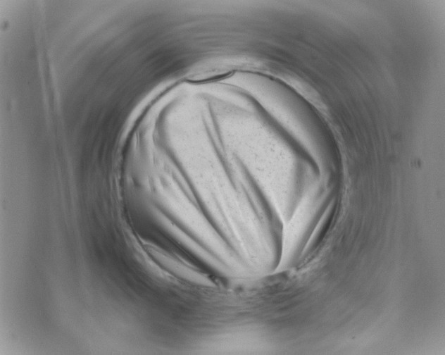 X0000071860912200607211914