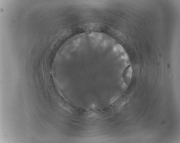 X0000071860913200607211913