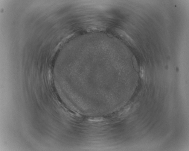 X0000071860915200607211913