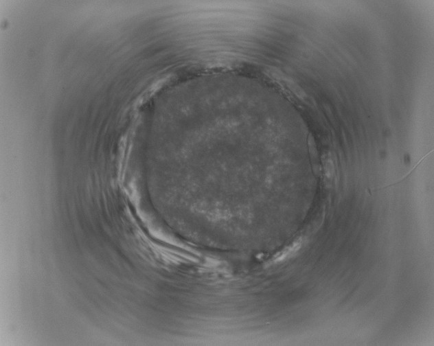 X0000071860916200607211913