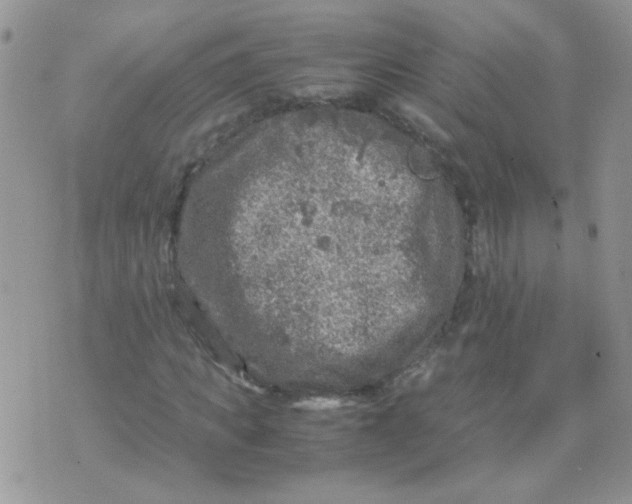 X0000071860917200607211913