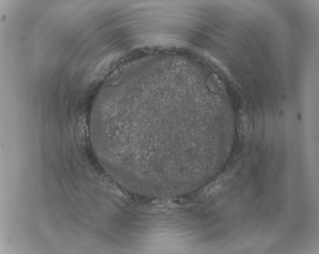 X0000071860918200607211913