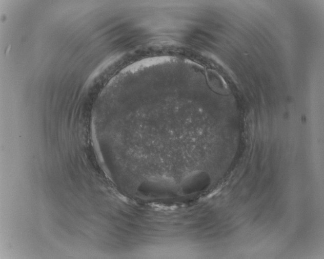 X0000071860919200607211913