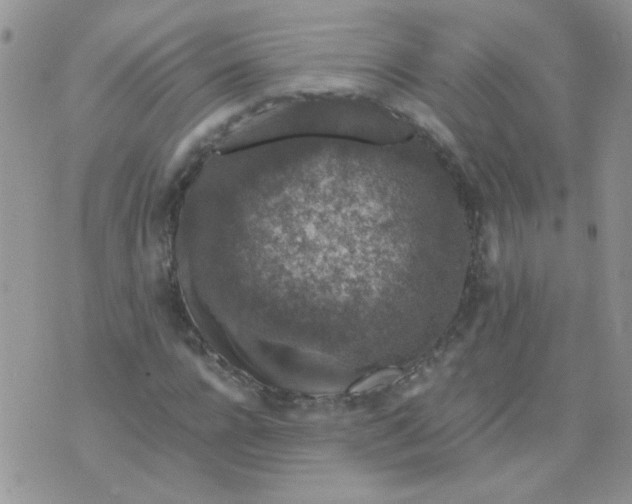 X0000071860920200607211913