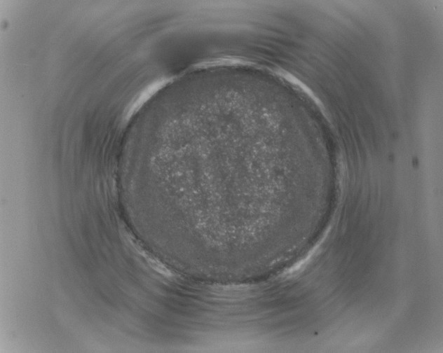 X0000071860921200607211913