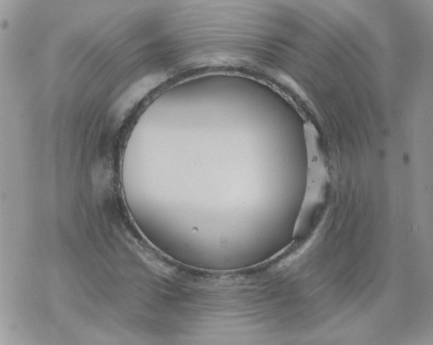 X0000071860922200607211913