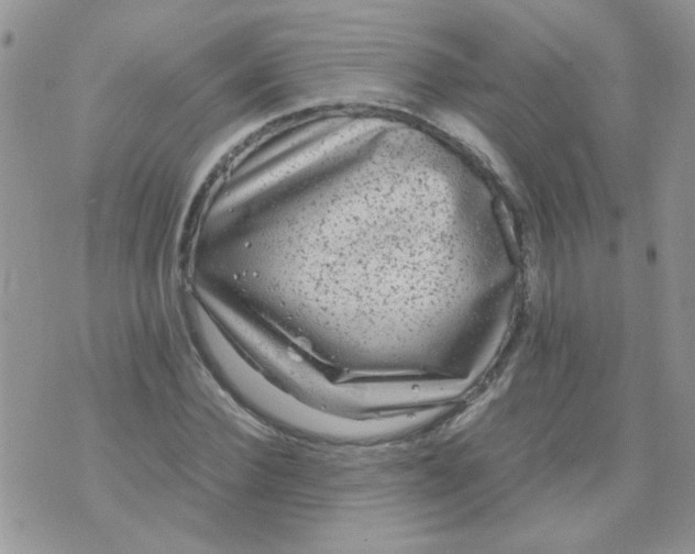 X0000071860924200607211913