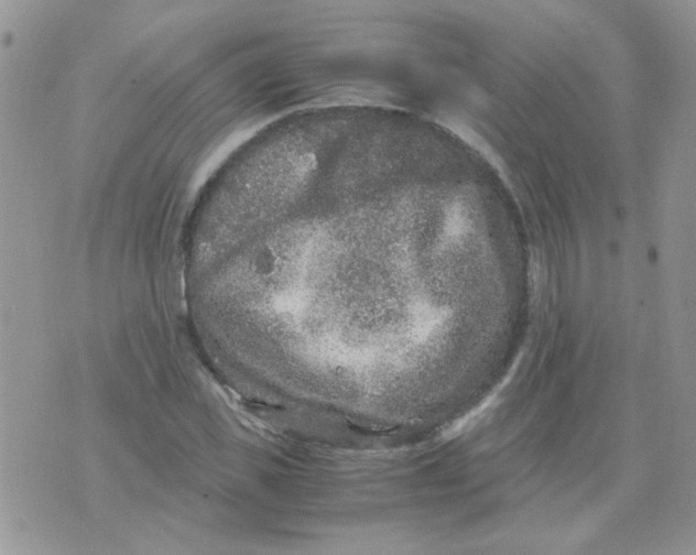 X0000071860925200607211913