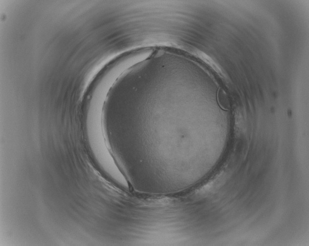 X0000071860926200607211913