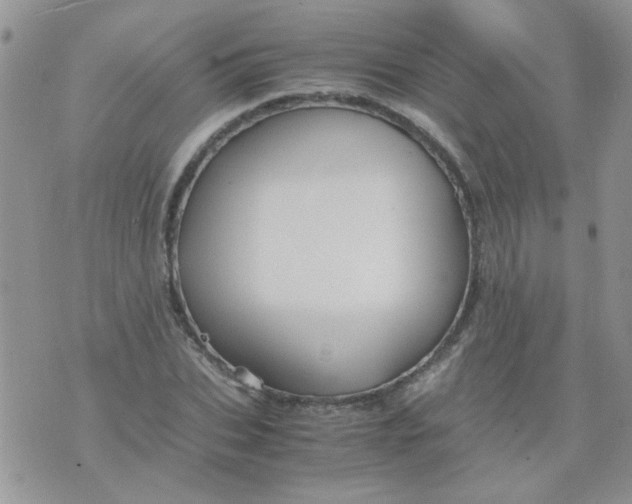 X0000071860927200607211913