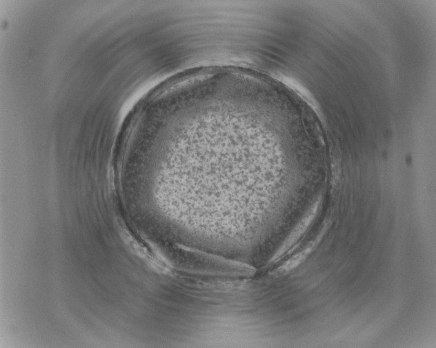 X0000071860928200607211913