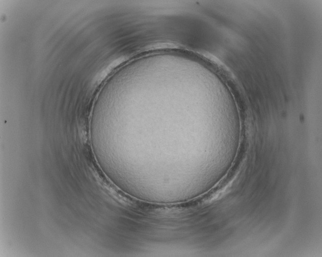 X0000071860929200607211913