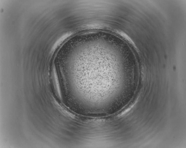 X0000071860930200607211913