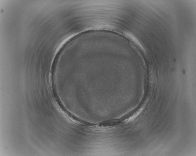 X0000071860932200607211913