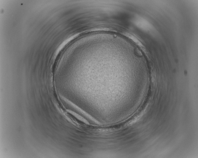 X0000071860933200607211913