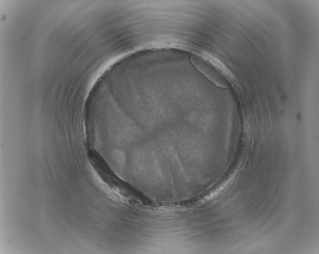 X0000071860934200607211913