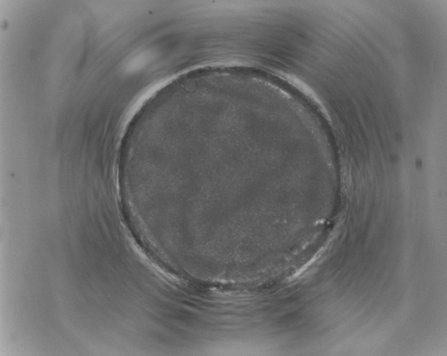 X0000071860935200607211913