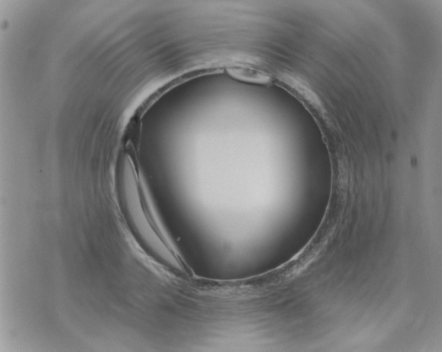 X0000071860936200607211914