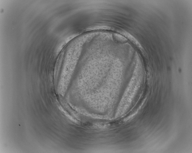 X0000071860937200607211914