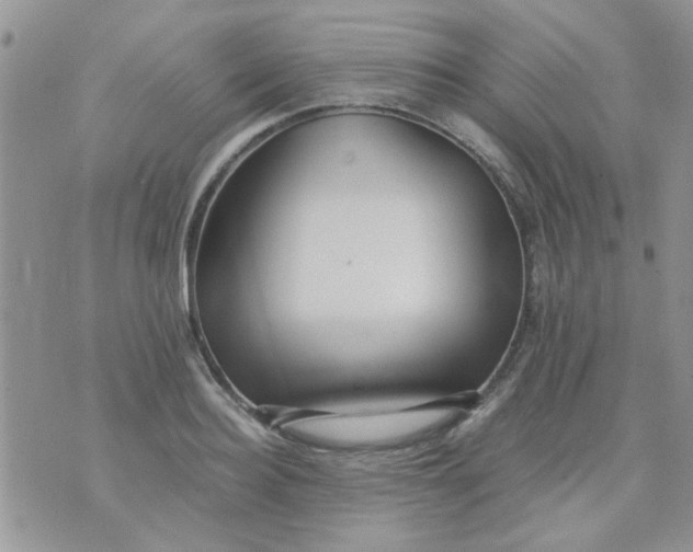 X0000071860940200607211914