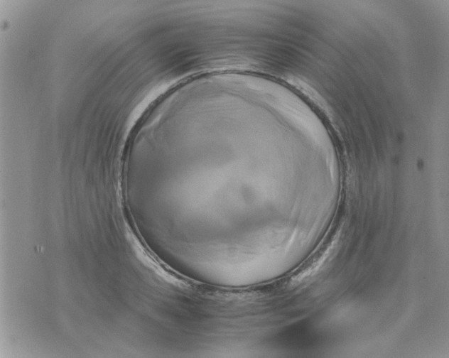 X0000071860941200607211914